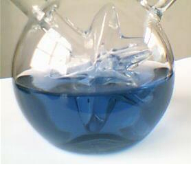 Gardenia Blue- Herbal Extracts