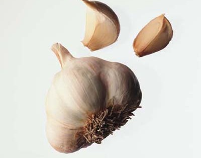Garlic extract