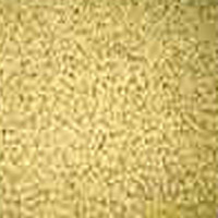 Soy Isoflavone Extract