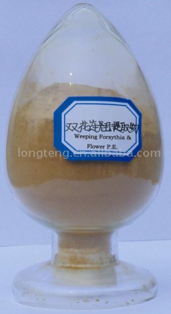 Weeping Forsythia & Flower P.E.- Herbal Extracts