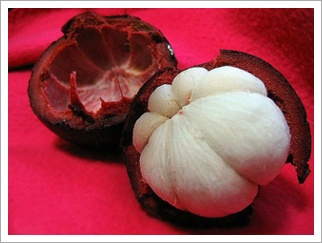 mangosteen extract- Herbal Extracts